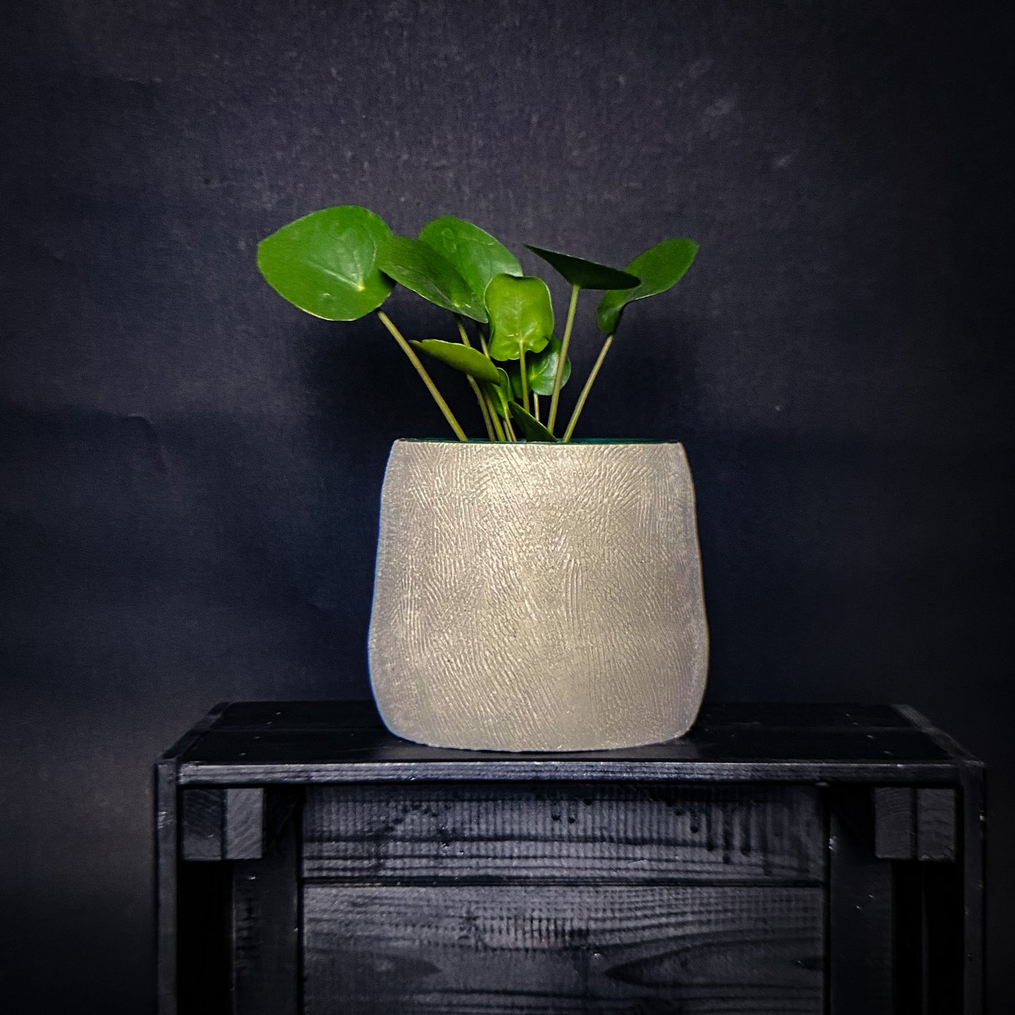 Plantpot holder - White clay, rough and textured finish