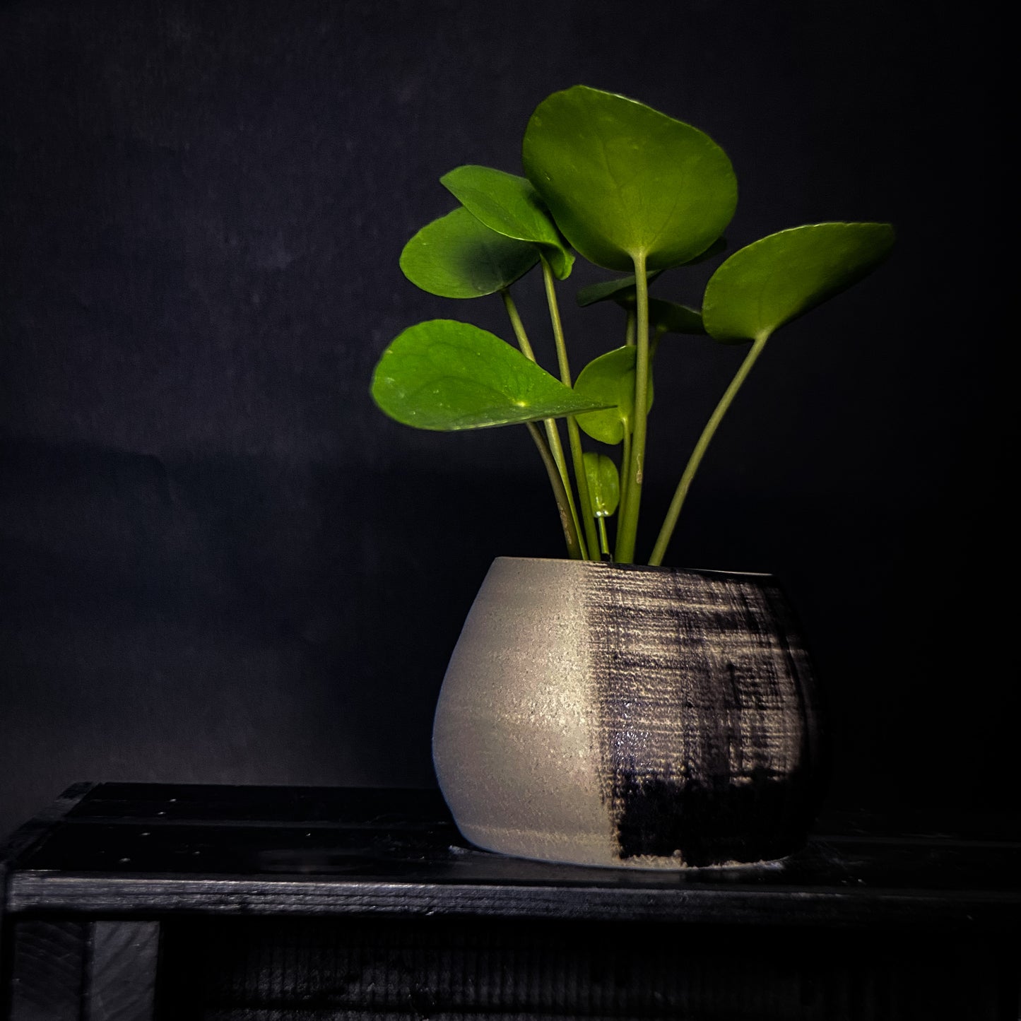 Plantpot holder - Black gradient decoration