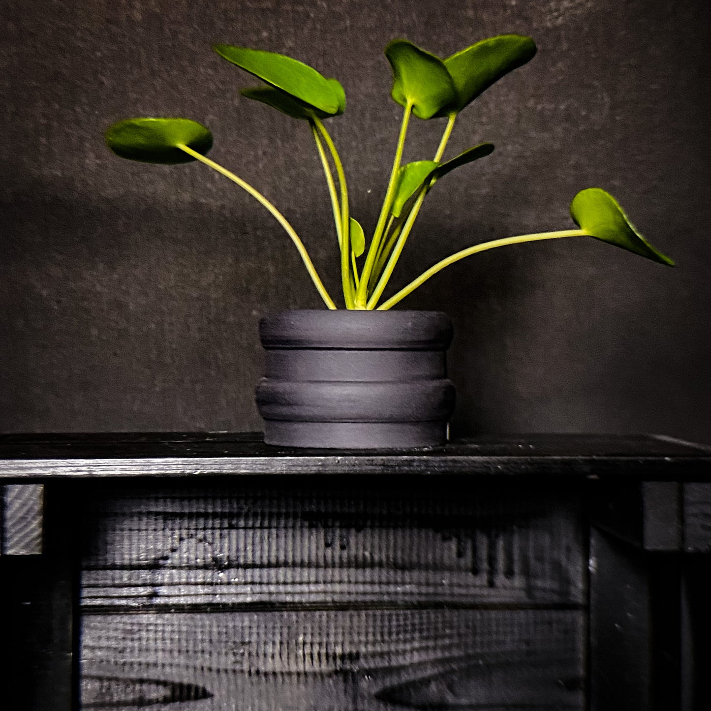 Plantpot holder - Black clay