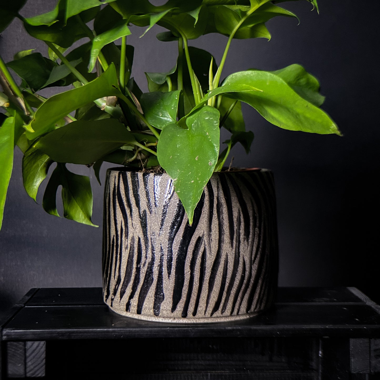 Cache-pot - Motif Tigre