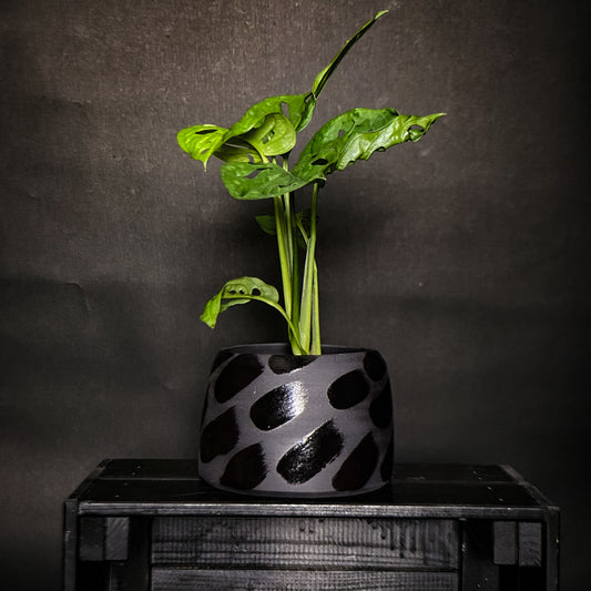 Plantpot holder - Black clay with black shiny glaze